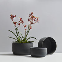 Planters – Black