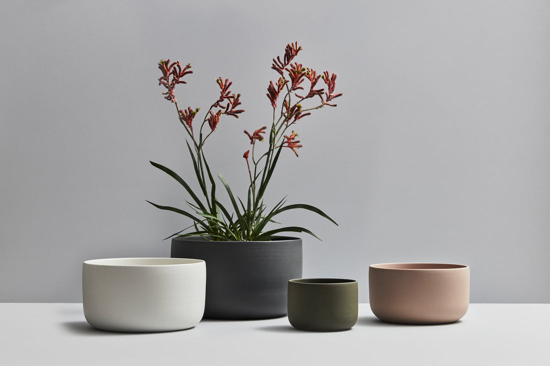 Planters – Moss Green