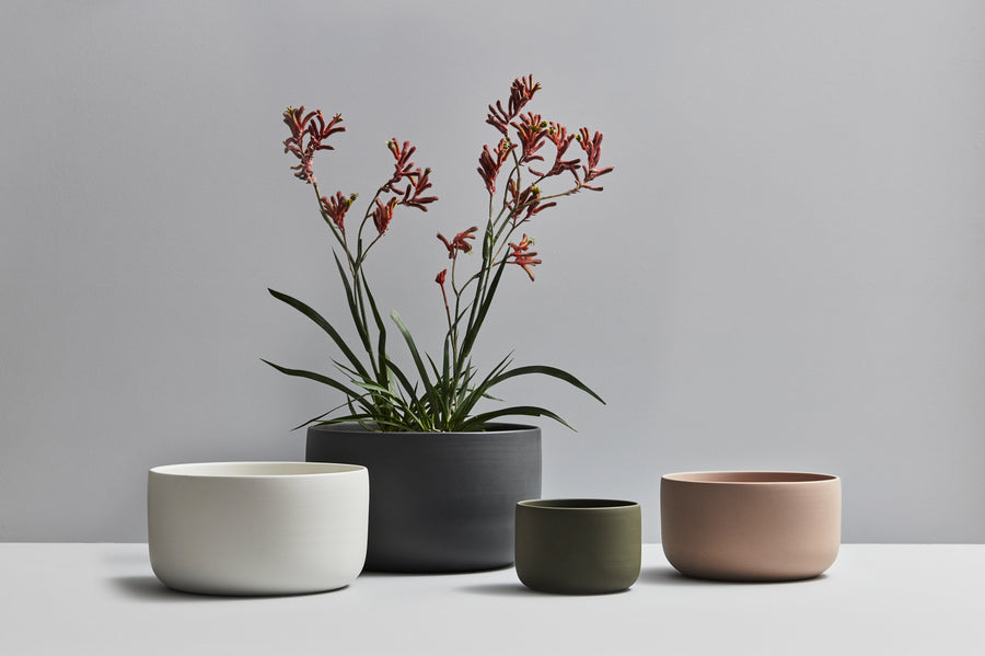 Planters – Moss Green