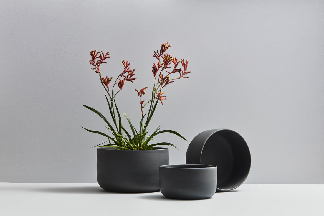 Planters – Black
